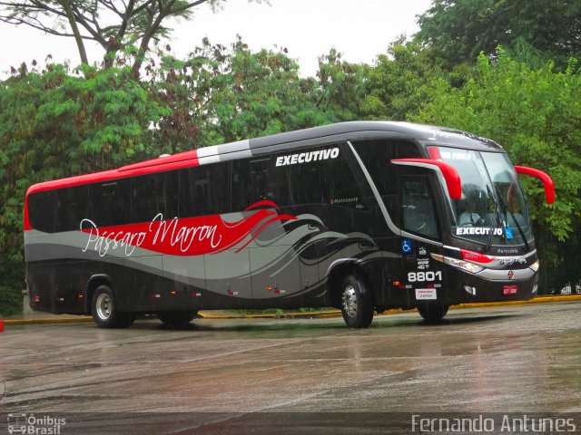 Empresa de Ônibus Pássaro Marron 8801 na cidade de São Paulo, São Paulo, Brasil, por Fernando Antunes. ID da foto: 5647024.