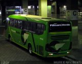 Pássaro Verde 1042 na cidade de Belo Horizonte, Minas Gerais, Brasil, por Maurício Nascimento. Número da foto: #:id.