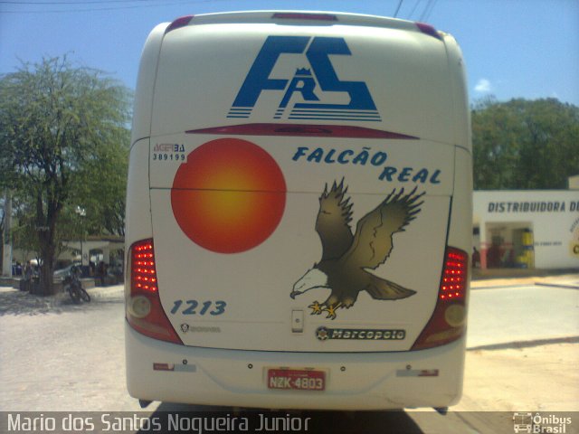 Falcão Real 1213 na cidade de Piritiba, Bahia, Brasil, por Mario dos Santos Nogueira Junior. Número da foto: #5650297.