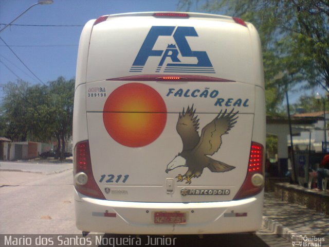 Falcão Real 1211 na cidade de Piritiba, Bahia, Brasil, por Mario dos Santos Nogueira Junior. Número da foto: #5650317.