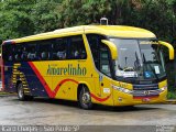 Expresso Amarelinho 347 na cidade de São Paulo, São Paulo, Brasil, por Ícaro Chagas. Número da foto: #5651612.
