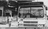 Viação Perpétuo Socorro 49 na cidade de Belém, Pará, Brasil, por Ricardo Fs. Número da foto: #5654424.