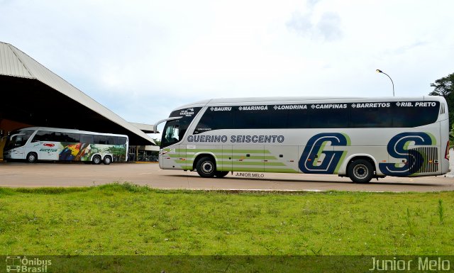Guerino Seiscento 1110 na cidade de Maringá, Paraná, Brasil, por José Melo. Número da foto: #5657376.