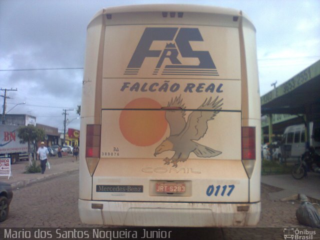 Falcão Real 0117 na cidade de Morro do Chapéu, Bahia, Brasil, por Mario dos Santos Nogueira Junior. Número da foto: #5659802.