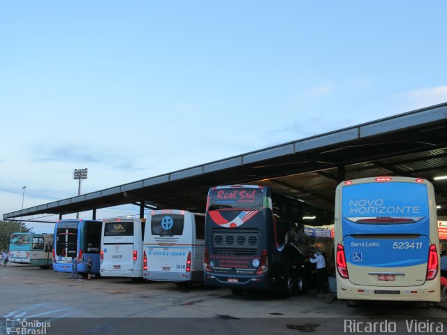 Viação Novo Horizonte 523411 na cidade de Taguatinga, Distrito Federal, Brasil, por Ricardo Vieira. ID da foto: 5661043.