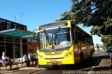 Passaredo Transporte e Turismo 5428 na cidade de Paulínia, São Paulo, Brasil, por Wagner  Pereira da Costa. Número da foto: #5661599.