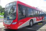 Himalaia Transportes > Ambiental Transportes Urbanos 4 1901 na cidade de São Paulo, São Paulo, Brasil, por Carlos Júnior. Número da foto: #5661271.