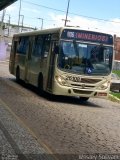 Viação do Sul 26108 na cidade de Almirante Tamandaré, Paraná, Brasil, por Wesley Solivam. Número da foto: #:id.
