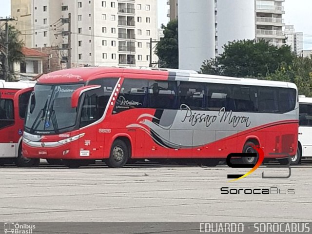 Empresa de Ônibus Pássaro Marron 5826 na cidade de São Paulo, São Paulo, Brasil, por EDUARDO - SOROCABUS. Número da foto: #5663351.