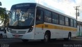 Águia Dourada 2085 na cidade de Itaporanga d`Ajuda, Sergipe, Brasil, por Marcos Danilo. Número da foto: #:id.
