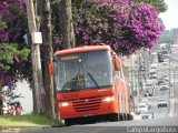Viação Cidade Sorriso >> Viação Sorriso de Curitiba GD335 na cidade de Curitiba, Paraná, Brasil, por Alessandro Fracaro Chibior. Número da foto: #:id.