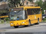 Araucária Transportes Coletivos 19811 na cidade de Curitiba, Paraná, Brasil, por Alessandro Fracaro Chibior. Número da foto: #:id.