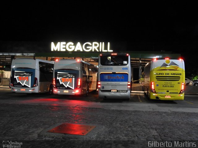 Ouro de Minas Transportes e Turismo 1303 na cidade de Sapucaia, Rio de Janeiro, Brasil, por Gilberto Martins. ID da foto: 5672684.