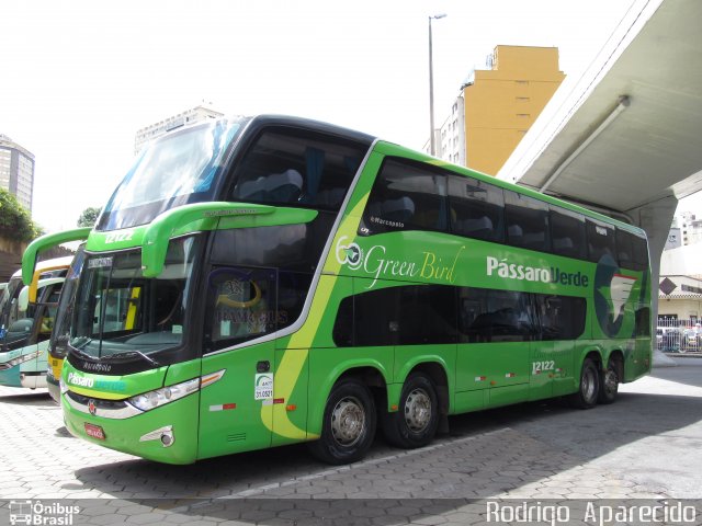 Pássaro Verde 12122 na cidade de Belo Horizonte, Minas Gerais, Brasil, por Rodrigo  Aparecido. Número da foto: #5671943.