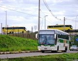 Cia. São Geraldo de Viação 21125 na cidade de Belo Horizonte, Minas Gerais, Brasil, por Jones Bh. Número da foto: #5672404.