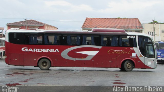 Expresso Gardenia 3120 na cidade de Pindamonhangaba, São Paulo, Brasil, por Alex Ramos Ribeiro. Número da foto: #5626681.