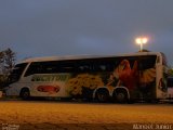 Eucatur - Empresa União Cascavel de Transportes e Turismo 4911 na cidade de São Paulo, São Paulo, Brasil, por Manoel Junior. Número da foto: #5624755.