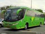 Pássaro Verde 15127 na cidade de Belo Horizonte, Minas Gerais, Brasil, por Renan Vieira. Número da foto: #5674800.