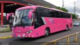 TRACOPA - Transportes Costarricenses Panameños 10 na cidade de , por Andrés Martínez Rodríguez. Número da foto: #5675764.