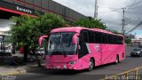 TRACOPA - Transportes Costarricenses Panameños 49 na cidade de , por Andrés Martínez Rodríguez. Número da foto: #5678379.