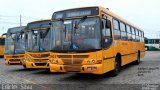 Empresa de Ônibus Campo Largo 22003 na cidade de Campo Largo, Paraná, Brasil, por Ediclei  Silva. Número da foto: #:id.