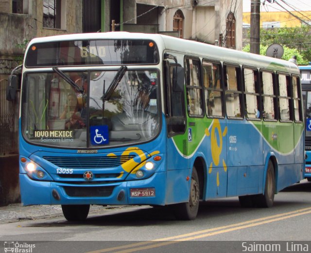 Vereda Transporte Ltda. 13055 na cidade de Vila Velha, Espírito Santo, Brasil, por Saimom  Lima. ID da foto: 5685633.