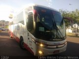 Empresa Reunidas Paulista de Transportes 144902 na cidade de Birigui, São Paulo, Brasil, por Carlos Vinicius Estevão Menezes. Número da foto: #5683974.