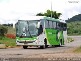 Pássaro Verde 1038 na cidade de João Monlevade, Minas Gerais, Brasil, por Antonio Carlos Fernandes. Número da foto: #:id.