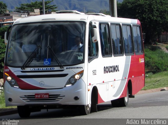 Rouxinol 1602 na cidade de Belo Horizonte, Minas Gerais, Brasil, por Adão Raimundo Marcelino. ID da foto: 5693343.