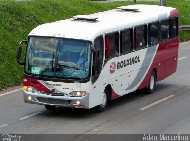 Rouxinol 595 na cidade de Belo Horizonte, Minas Gerais, Brasil, por Adão Raimundo Marcelino. Número da foto: #5693337.