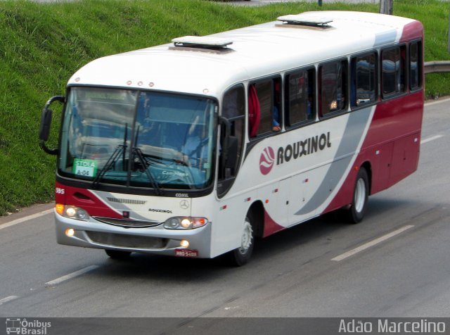 Rouxinol 595 na cidade de Belo Horizonte, Minas Gerais, Brasil, por Adão Raimundo Marcelino. ID da foto: 5693337.