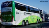 Cardeal Turismo 1956 na cidade de Belo Horizonte, Minas Gerais, Brasil, por Marcos Grazziotti. Número da foto: #5692873.