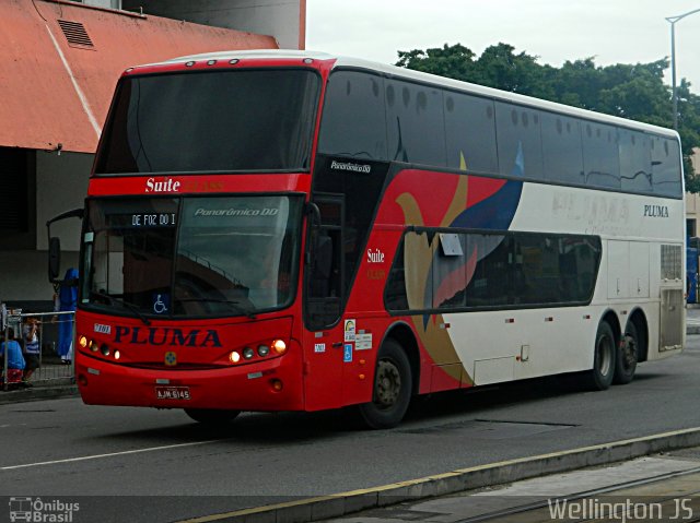 Pluma Conforto e Turismo 7101 na cidade de Rio de Janeiro, Rio de Janeiro, Brasil, por Wellington de Jesus Santos. Número da foto: #5629363.