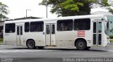 BluMob - Concessionária de Transporte Urbano de Blumenau 6328 na cidade de Blumenau, Santa Catarina, Brasil, por Estevão Emilio Ronchi. Número da foto: #:id.