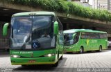 Pássaro Verde 27005 na cidade de Belo Horizonte, Minas Gerais, Brasil, por Rodrigo  Aparecido. Número da foto: #5701303.