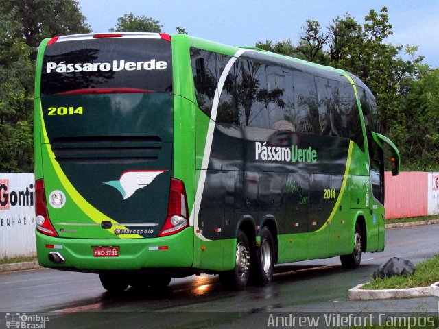 Pássaro Verde 2014 na cidade de Brasília, Distrito Federal, Brasil, por Andrew Campos. Número da foto: #5635638.