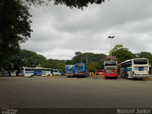 Litorânea Transportes Coletivos 5859 na cidade de São Paulo, São Paulo, Brasil, por Manoel Junior. ID da foto: 5635495.