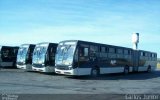 HP Transportes Coletivos 2487 na cidade de Aparecida de Goiânia, Goiás, Brasil, por Carlos Júnior. Número da foto: #5637324.