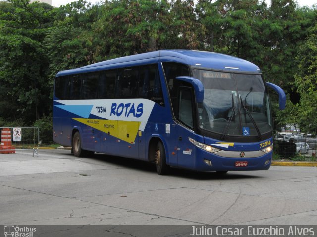 RodeRotas - Rotas de Viação do Triângulo 72314 na cidade de São Paulo, São Paulo, Brasil, por Julio Cesar Euzebio Alves. ID da foto: 5638676.