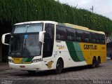 Empresa Gontijo de Transportes 12080 na cidade de Belo Horizonte, Minas Gerais, Brasil, por Deivid Luiz. Número da foto: #5640301.
