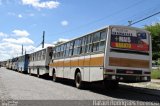 Ônibus Particulares HVC6460 na cidade de Tobias Barreto, Sergipe, Brasil, por Rafael Rodrigues Forencio. Número da foto: #5638197.