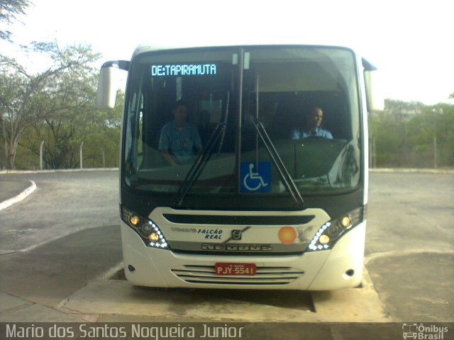 Falcão Real 3801 na cidade de Piritiba, Bahia, Brasil, por Mario dos Santos Nogueira Junior. ID da foto: 5643668.