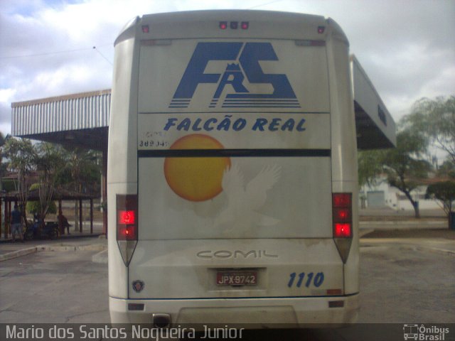 Falcão Real 1110 na cidade de Piritiba, Bahia, Brasil, por Mario dos Santos Nogueira Junior. ID da foto: 5643675.