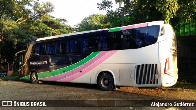 Alfaro  na cidade de Brasil, por Alejandro Gutiérrez. Número da foto: #6195511.