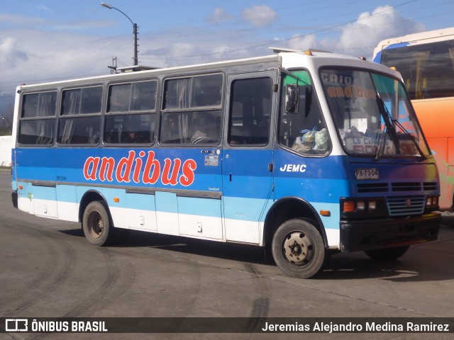 Andibus 35 na cidade de Brasil, por Jeremias Alejandro Medina Ramirez. ID da foto: 6194324.