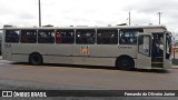 Viação Santo Ângelo 18L50 na cidade de Brasil, por Fernando de Oliveira Junior. Número da foto: #:id.