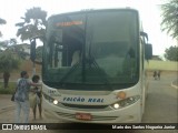 Falcão Real 1307 na cidade de Piritiba, Bahia, Brasil, por Mario dos Santos Nogueira Junior. Número da foto: #6193181.