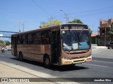 Empresa Dois Irmãos 04138 na cidade de Teresina, Piauí, Brasil, por Jonathan Silva. Número da foto: #:id.