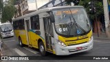 Viação Santa Edwiges 13035 na cidade de Betim, Minas Gerais, Brasil, por Paulo Julian. Número da foto: #6214548.