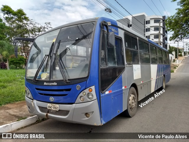 Prefeitura Municipal de Maravilhas 9960 na cidade de Pará de Minas, Minas Gerais, Brasil, por Vicente de Paulo Alves. Número da foto: #6215281.